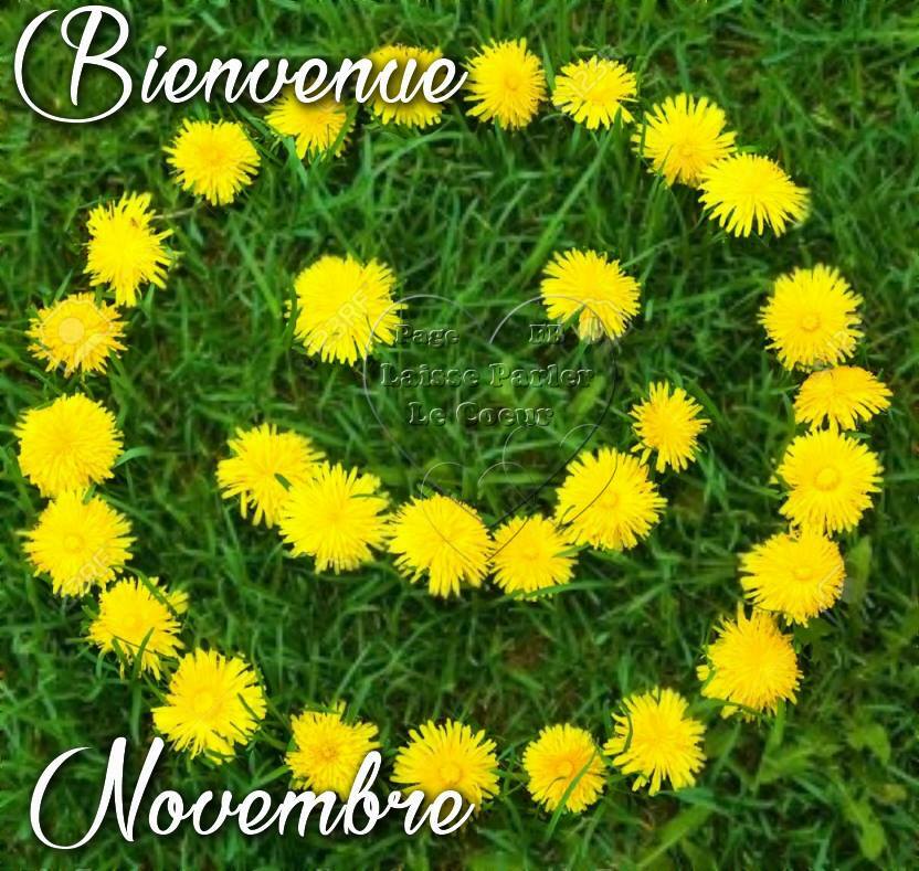 COMPTE RENDU DU SCRAMBLE DE NOVEMBRE