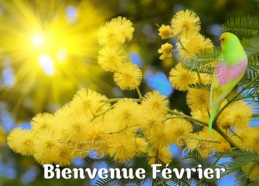 COMPTE RENDU DU SCRAMBLE DE FEVRIER