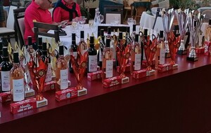 Circuit Séniors II et III : Compte rendu de la Finale 2025 à LGM