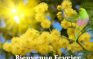 COMPTE RENDU DU SCRAMBLE DE FEVRIER