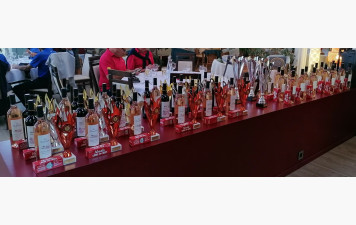 Circuit Séniors II et III : Compte rendu de la Finale 2025 à LGM