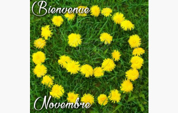 COMPTE RENDU DU SCRAMBLE DE NOVEMBRE