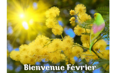 COMPTE RENDU DU SCRAMBLE DE FEVRIER